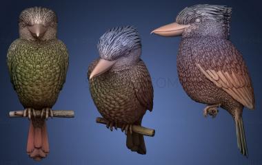 3D model kookaburra (STL)